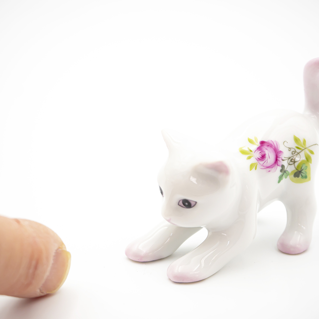 キャットコレクション2026