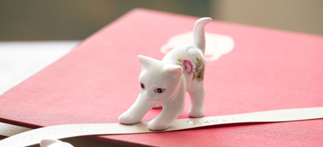 キャットコレクション2026